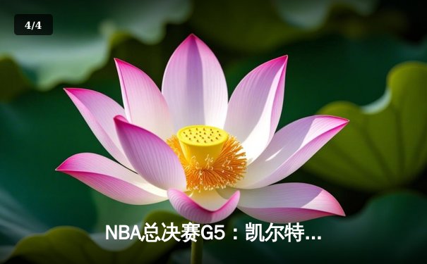 NBA总决赛G5：凯尔特人逆转独行侠夺冠，塔图姆斩获FMVP - 4